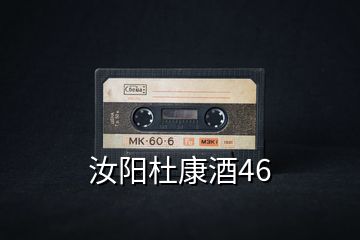 汝陽(yáng)杜康酒46