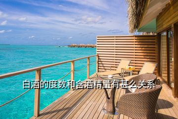 白酒的度數(shù)和含酒精量有甚么關系