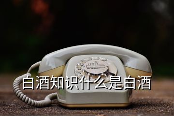 白酒知識(shí)什么是白酒
