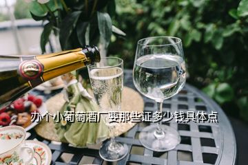 辦個(gè)小葡萄酒廠要那些證多少錢具體點(diǎn)