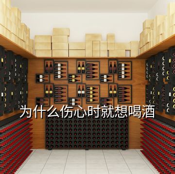 為什么傷心時就想喝酒