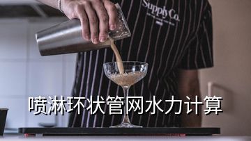 噴淋環(huán)狀管網(wǎng)水力計(jì)算