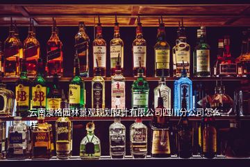 云南漫格園林景觀規(guī)劃設(shè)計有限公司四川分公司怎么樣