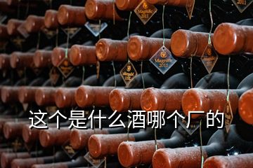 這個(gè)是什么酒哪個(gè)廠的