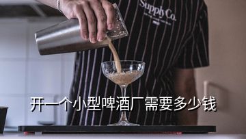 開一個(gè)小型啤酒廠需要多少錢