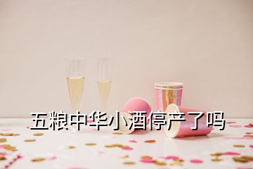 五糧中華小酒停產了嗎
