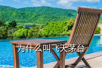 為什么叫飛天茅臺