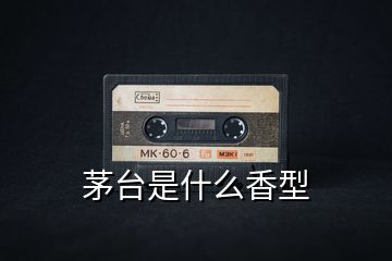 茅臺(tái)是什么香型