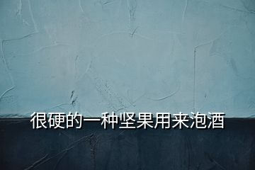 很硬的一種堅(jiān)果用來(lái)泡酒