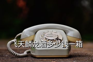 飛天麟龍酒多少錢(qián)一箱