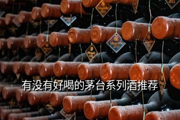有沒(méi)有好喝的茅臺(tái)系列酒推薦