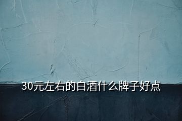 30元左右的白酒什么牌子好點