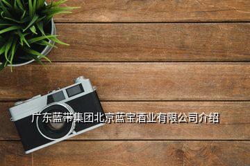 廣東藍帶集團北京藍寶酒業(yè)有限公司介紹