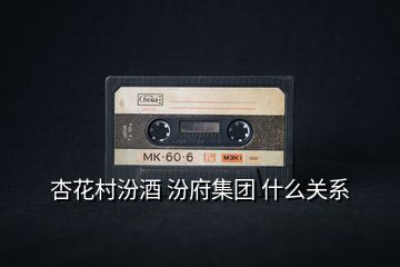 杏花村汾酒 汾府集團 什么關系
