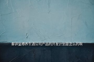 秦鐘皇樽養(yǎng)生酒公司產(chǎn)品的開發(fā)計劃是怎么的啊
