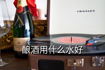 釀酒用什么水好
