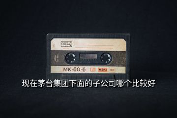 現(xiàn)在茅臺(tái)集團(tuán)下面的子公司哪個(gè)比較好