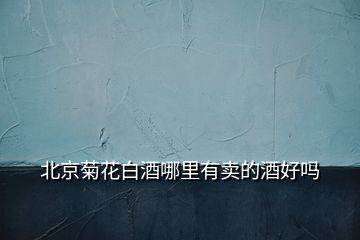北京菊花白酒哪里有賣(mài)的酒好嗎