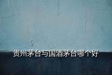 貴州茅臺(tái)與國(guó)酒茅臺(tái)哪個(gè)好