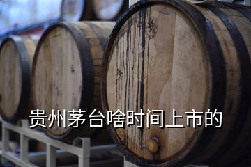 貴州茅臺啥時間上市的