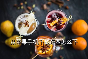 從蘋(píng)果手機(jī)下載東西怎么下