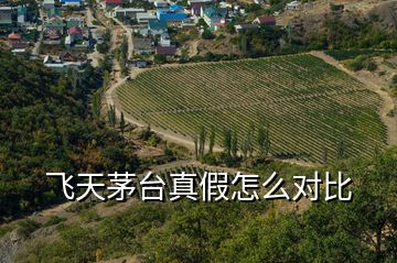 飛天茅臺(tái)真假怎么對比