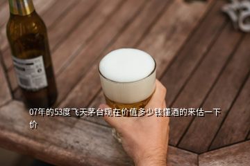 07年的53度飛天茅臺(tái)現(xiàn)在價(jià)值多少錢懂酒的來估一下價(jià)
