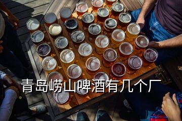 青島嶗山啤酒有幾個廠