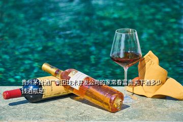 貴州茅臺酒廠集團技術開發(fā)公司的家常春富貴天下酒多少錢酒瓶是