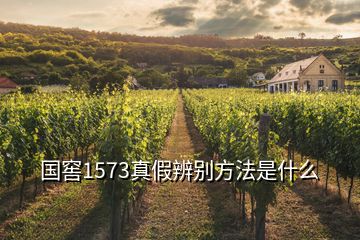 國(guó)窖1573真假辨別方法是什么