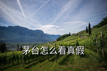 茅臺怎么看真假