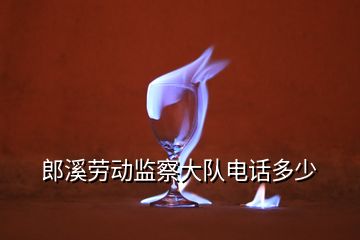 郎溪勞動監(jiān)察大隊(duì)電話多少