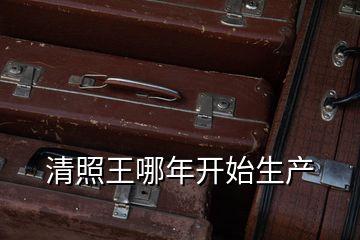清照王哪年開(kāi)始生產(chǎn)