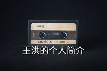王洪的個(gè)人簡介