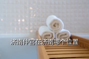 濟南仲宮在濟南哪個位置