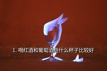 1. 喝紅酒和葡萄酒用什么杯子比較好