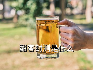 酣客封測是什么