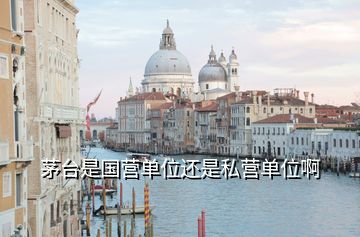 茅臺是國營單位還是私營單位啊