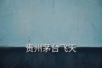 貴州茅臺飛天