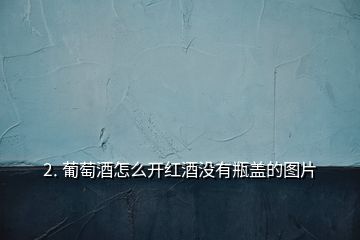 2. 葡萄酒怎么開紅酒沒(méi)有瓶蓋的圖片