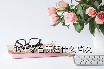 09年茅臺貢酒什么檔次