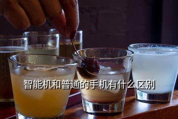  智能機和普通的手機有什么區(qū)別
