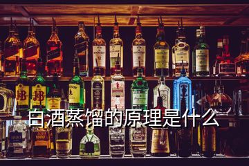 白酒蒸餾的原理是什么