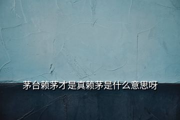 茅臺賴茅才是真賴茅是什么意思呀