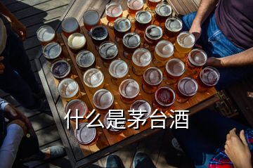 什么是茅臺酒