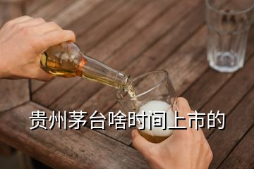 貴州茅臺啥時間上市的