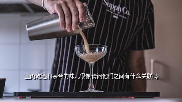 王丙乾酒和茅臺的味兒很像請問他們之間有什么關(guān)聯(lián)嗎