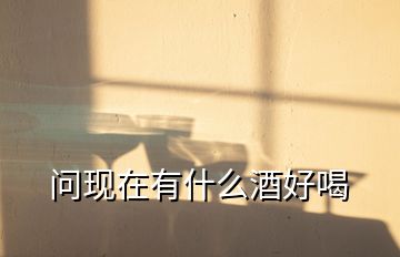 問現(xiàn)在有什么酒好喝