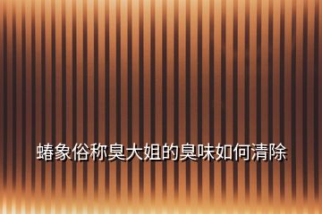 蝽象俗稱臭大姐的臭味如何清除