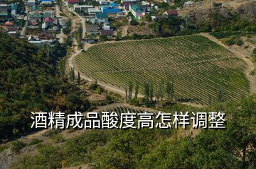 酒精成品酸度高怎樣調(diào)整